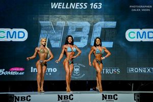 WELLNESS 163